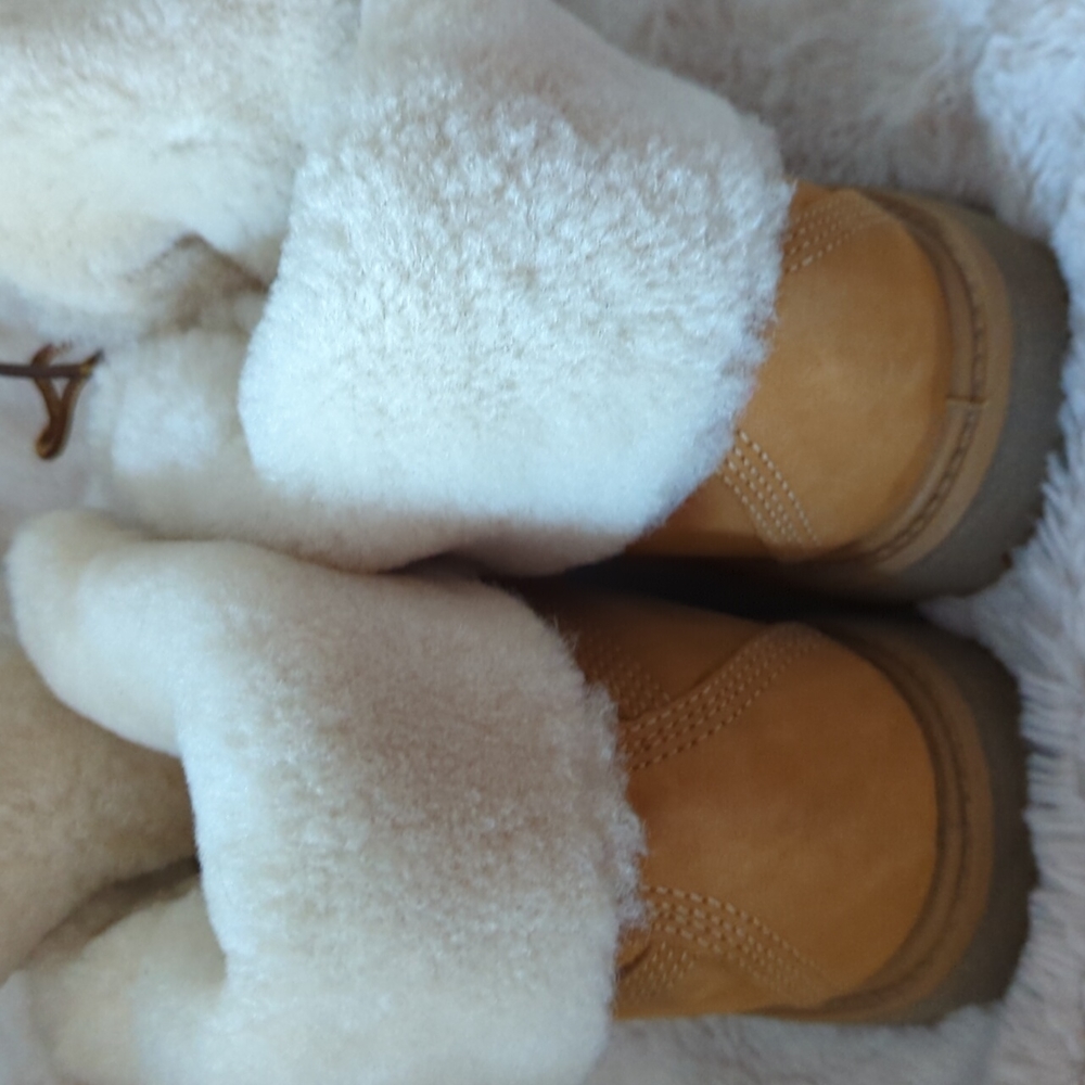 Fuzzy Timberlands - Picture 2 of 4